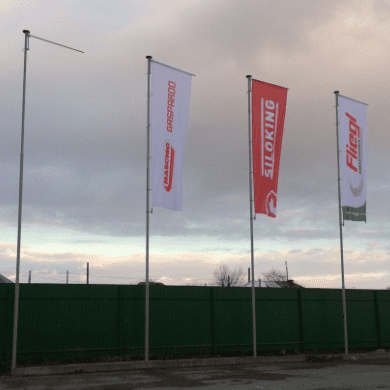 Г – образные флагштоки на выезде из города